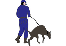 nose aroundのイラスト